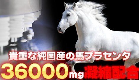 純国産高級馬プラセンタ36000